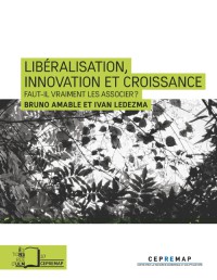 Libéralisation, Innovation et croissance: Faut-il vraiment les associer ?