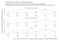 Note de l’Observatoire du Bien être n°2017-12 : Optimisme et inquiétudes