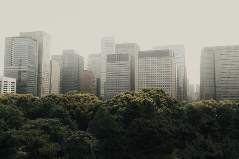 Financement climatique: un instrument mal conçu pour l’aide au développement et la protection de l’environnement