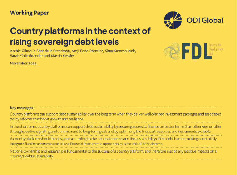 Plateformes nationales dans le contexte de l’augmentation des niveaux de dette souveraine