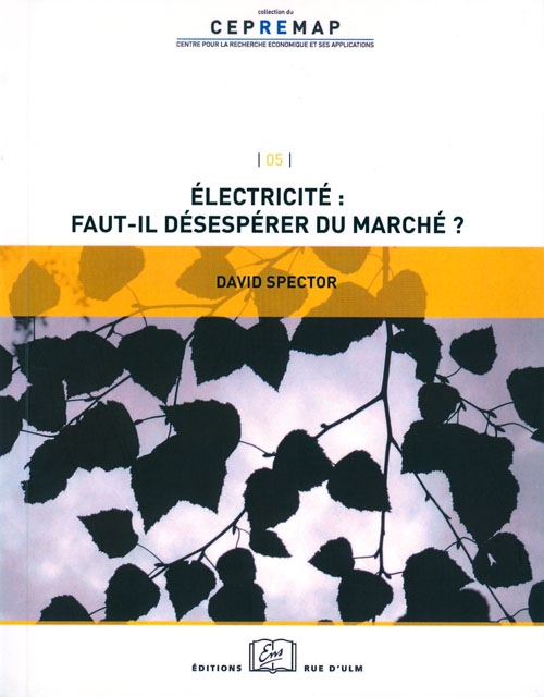 Électricité : faut-il désespérer du marché ?